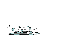 Visit Falcon Lake Marine & Auto
