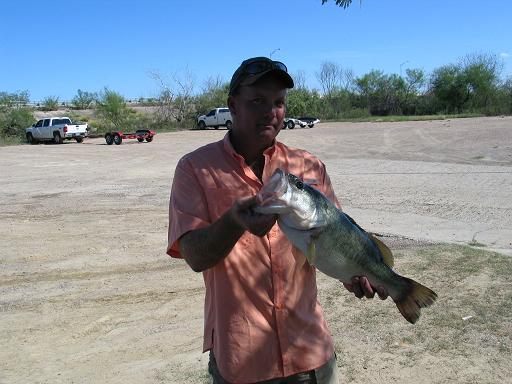 Lake pardee fishing report 2011 gmc